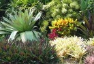 Ballarat Westplanting-garden-and-landscape-design-24.jpg; ?>