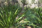 Ballarat Westplanting-garden-and-landscape-design-46.jpg; ?>