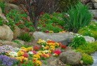 Ballarat Westplanting-garden-and-landscape-design-69.jpg; ?>